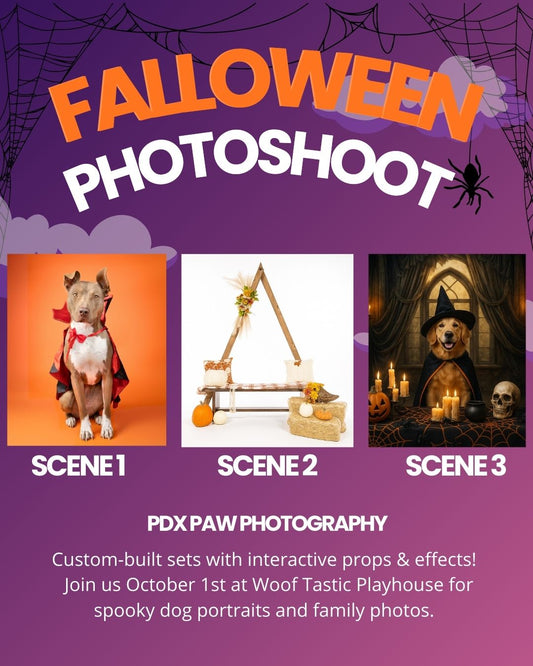 Woof-Tastic Playhouse Halloween Photoshoot